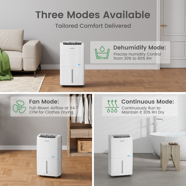 Sitvon 10 Pint Energy Star Dehumidifier, 2,000 Sq. Ft, Quiet, Humidity Control, Timer, Drain Hose