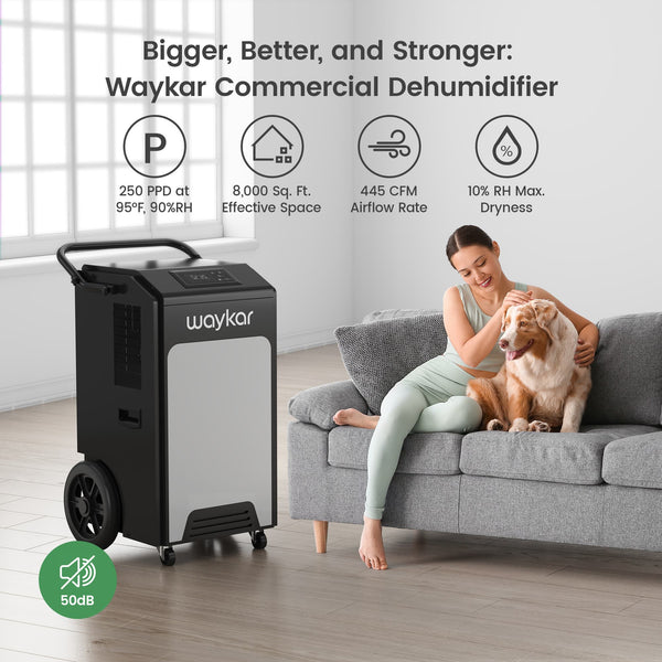 250 Pints Basement Dehumidifier with Built-in Pump and Big Wheels