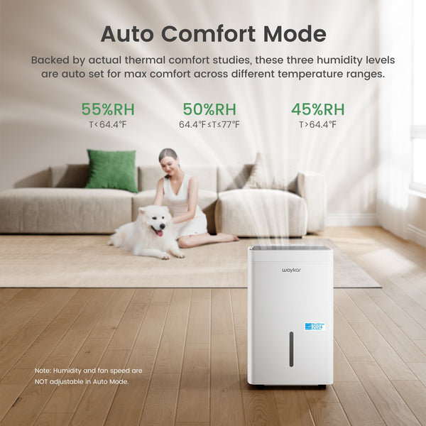 120 Pints ENERGY STAR Most Efficient Dehumidifier for Home