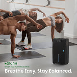 auto comfort mode dehumidifier