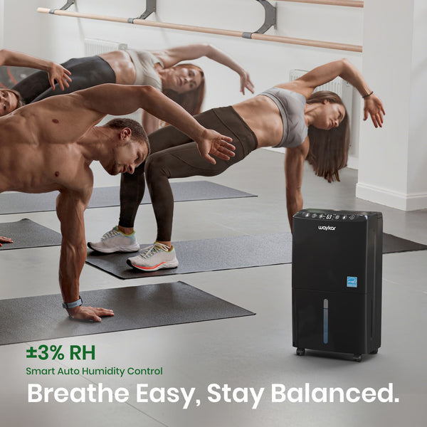 auto comfort mode dehumidifier