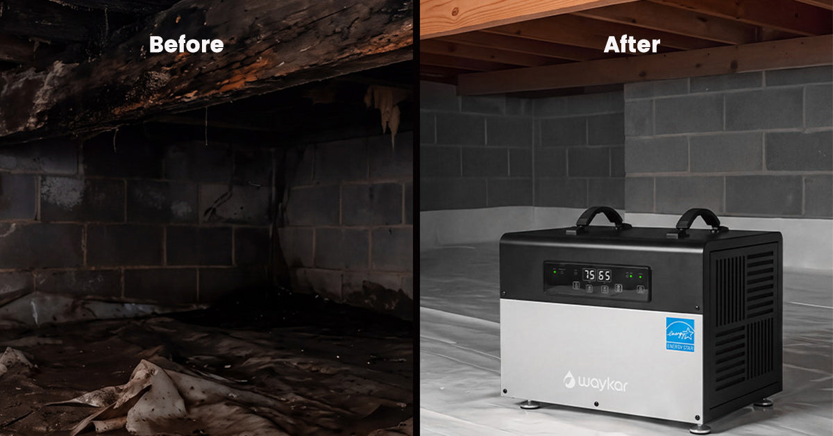 Waykar Crawl Space Dehumidifier for Basement, 16.4 ft Pump