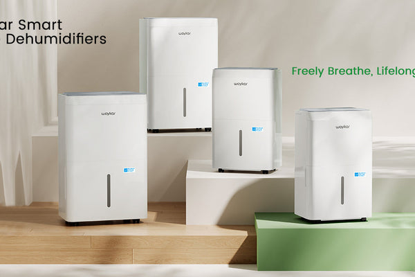 Waykar Dehumidifier Buying Guide: Choose the Best Dehumidifier for Your Needs