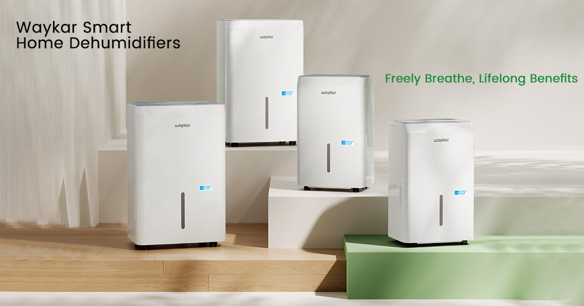 Waykar Dehumidifier Buying Guide: Choose the Best Dehumidifier for Your Needs