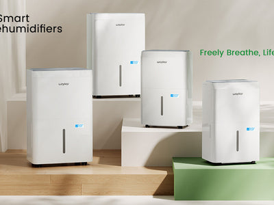 Waykar Dehumidifier Buying Guide: Choose the Best Dehumidifier for Your Needs