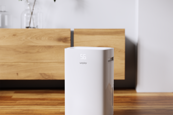 How to choose the right dehumidifier for your home?
