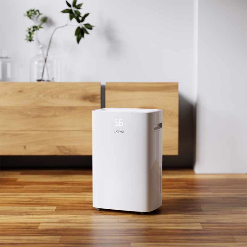 How to choose the right dehumidifier for your home?
