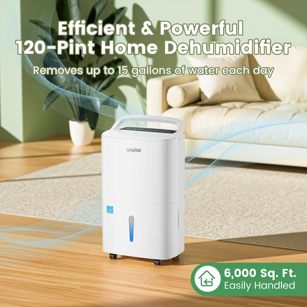 80-Pint Dehumidifier: For Spaces up to 5,000 sq ft with Drain Hose, Handle, Auto Defrost and Self Drying Features