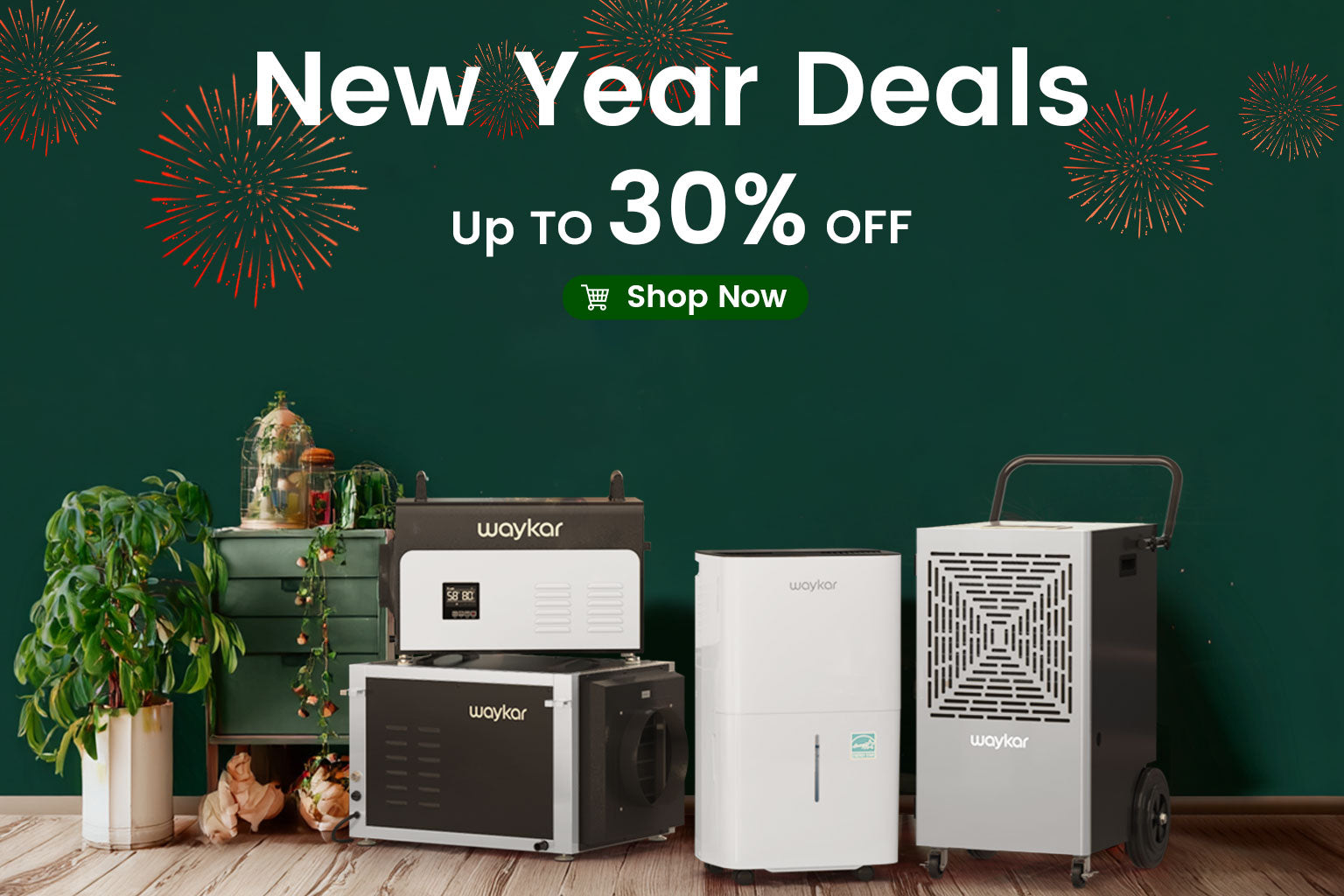 Waykor Dehumidifier "New Year's Offer"