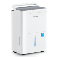 Home Dehumidifier
