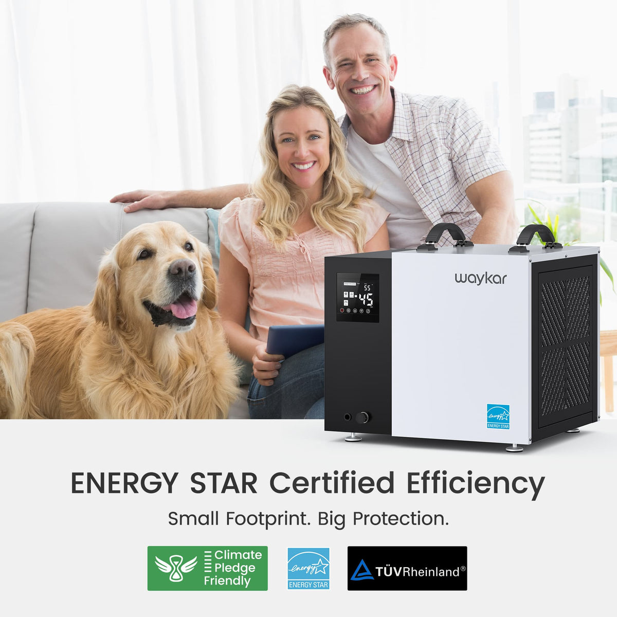 ENERGY STAR 70-Pint Crawlspace Dehumidifier with Pump