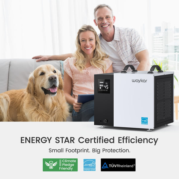 ENERGY STAR 70-Pint Crawlspace Dehumidifier with Pump