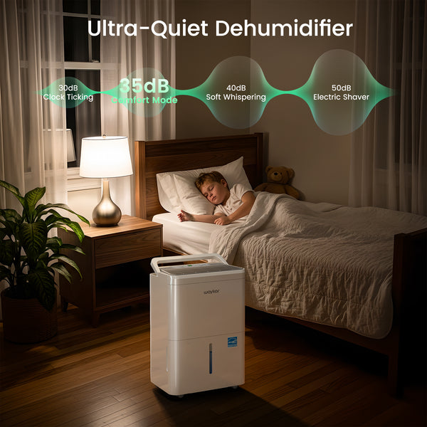 2000 Sq. Ft. Home Dehumidifier, 30 Pints Dehumidifier for Home, Basement Dehumidifier [CTH30A]