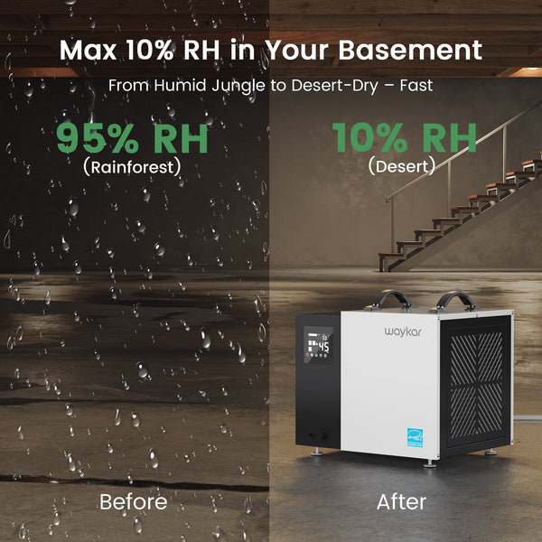 ENERGY STAR 70-Pint Crawlspace Dehumidifier with Pump