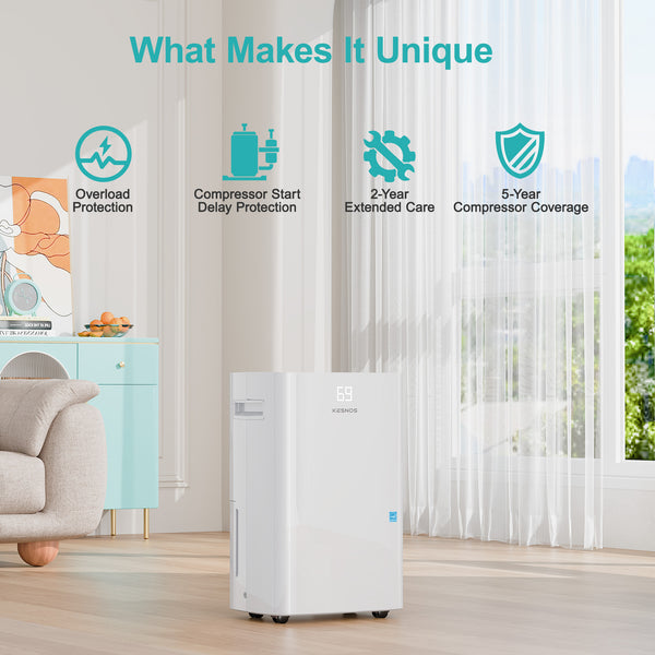 Pre-Sale:Whole-Home Dehumidifier for Basement, 80-Pint Model
