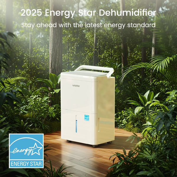 2000 Sq. Ft. Home Dehumidifier, 30 Pints Dehumidifier for Home, Basement Dehumidifier [CTH30A]