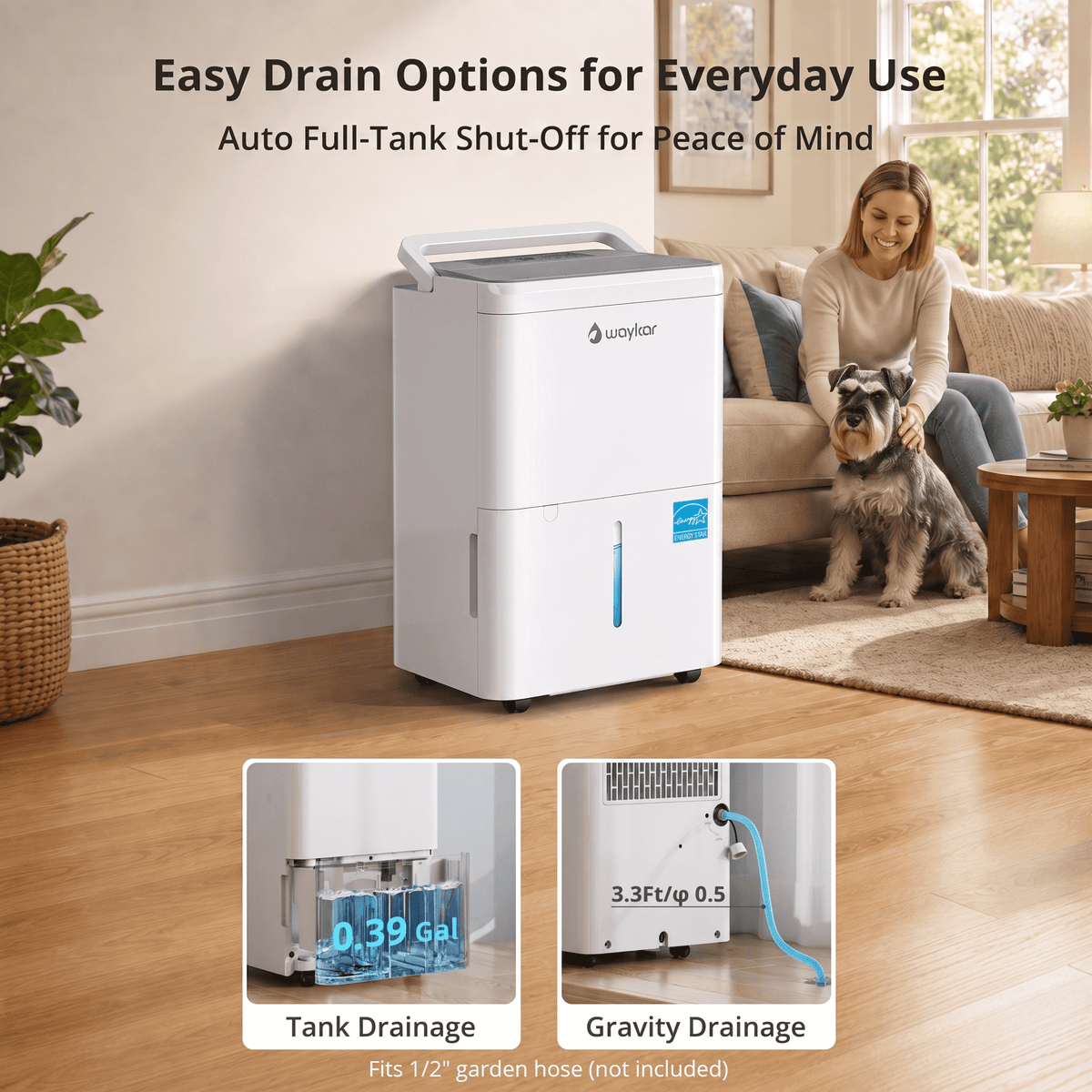 Pre-Sale: 30 Pints Dehumidifier with Auto Comfort Mode