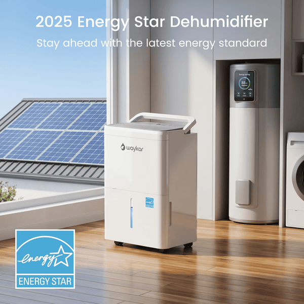 Pre-Sale: 30 Pints Dehumidifier with Auto Comfort Mode