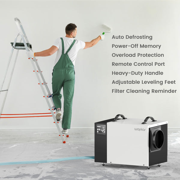 125-Pint Crawlspace Dehumidifier with Down to 10%RH Dryness