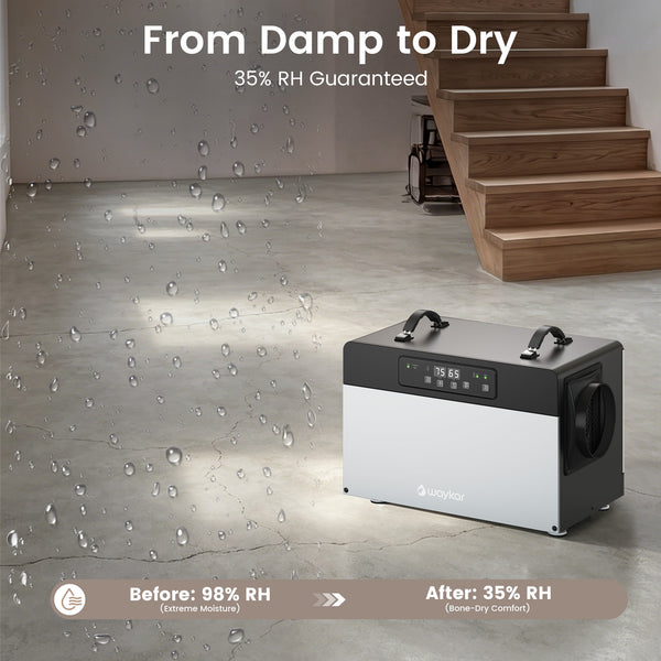 Waykar ENERGY STAR Crawl Space Dehumidifier with Pump, 70 Pints or 125 Pints Optional