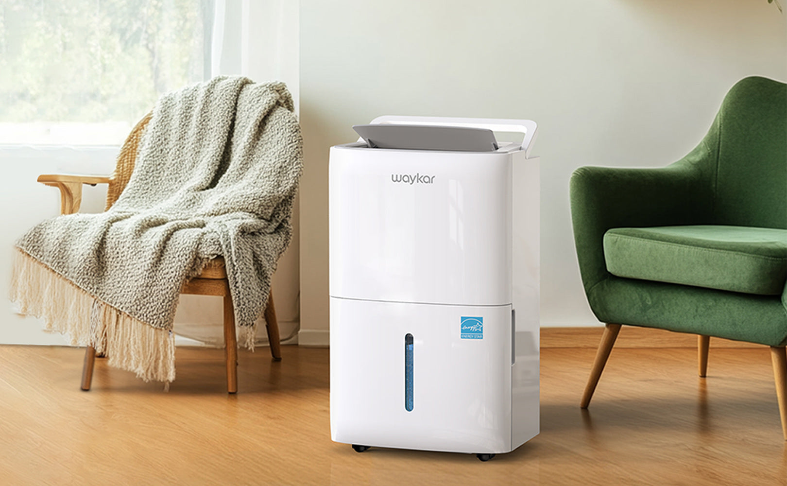Home Dehumidifier with Colored Humidistat