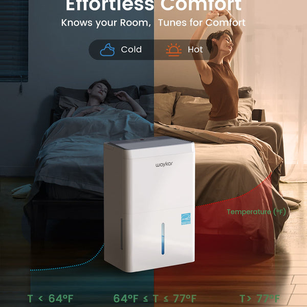 6000 Sq.Ft Energy Star Dehumidifier for Basement & Home, 120 Pint/Day with Drain Hose & Tank, Ultra Quiet (40 dB), Smart Auto Comfort Mode