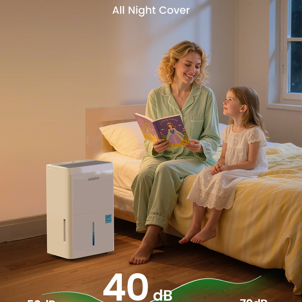 6000 Sq.Ft Energy Star Dehumidifier for Basement & Home, 120 Pint/Day with Drain Hose & Tank, Ultra Quiet (40 dB), Smart Auto Comfort Mode