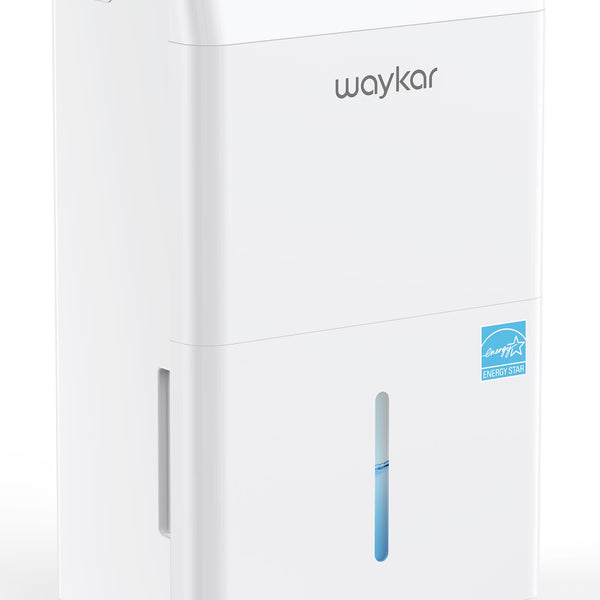6000 Sq.Ft Energy Star Dehumidifier for Basement & Home, 120 Pint/Day with Drain Hose & Tank, Ultra Quiet (40 dB), Smart Auto Comfort Mode