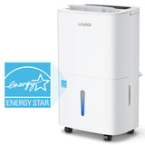 Energy Star dehumidifier