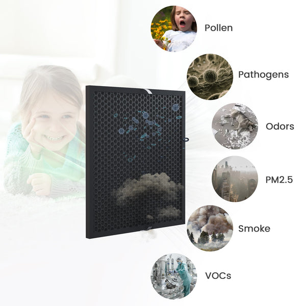 2-Pack Activated Carbon Filter Set for Air Scrubber