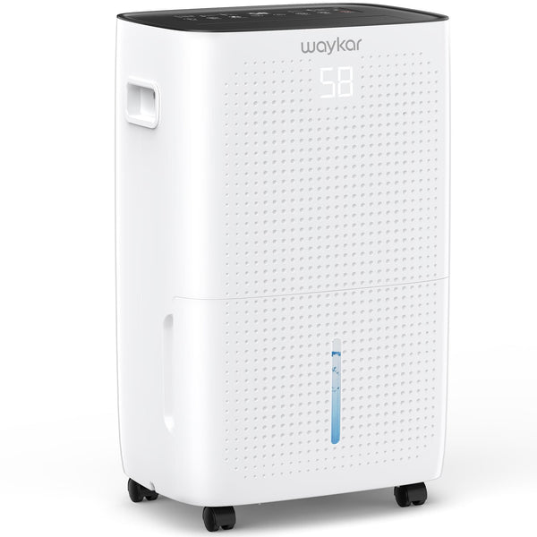 Powerful Basement Dehumidifier, Energy Efficient with Tank and Hose Drain (JD026CE-150)