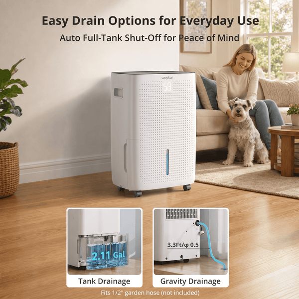 Pre-Sale: 150 Pints Dehumidifier with Tank and Pump Drain