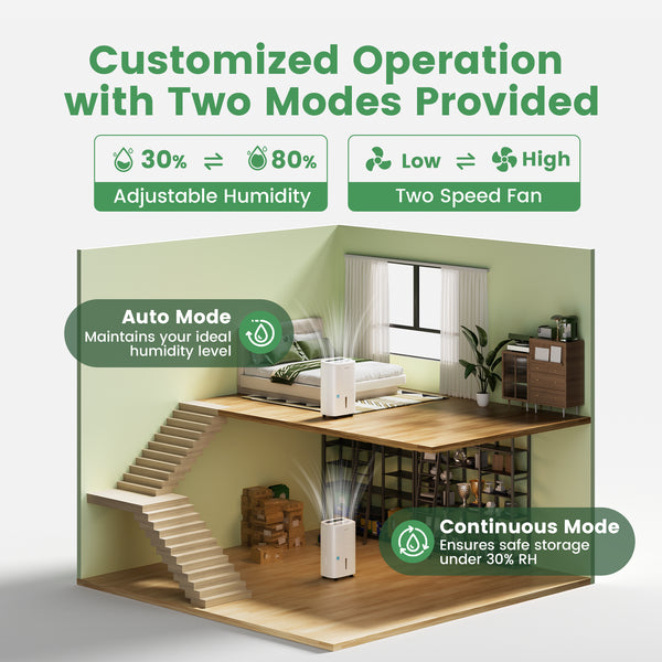 80-Pint Dehumidifier: For Spaces up to 5,000 sq ft with Drain Hose, Handle, Auto Defrost and Self Drying Features
