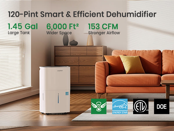 efficient dehumidifier for home