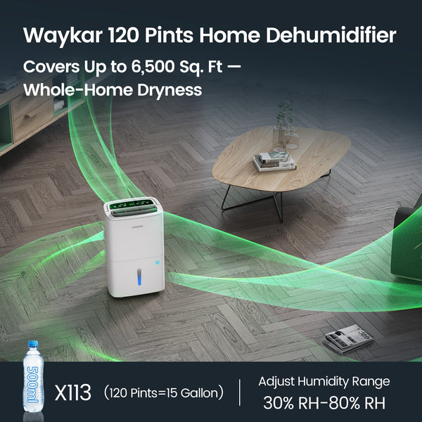 120 Pints 2025 Energy Star Home Dehumidifier for Spaces up to 6,000 Sq. Ft, Ideal for Basement, Bathroom and Large Room with Drain Hose, Portable, Auto Defrost and Self-Drying