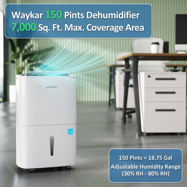 Energy Star Dehumidifiers with Drain Hose and Self Drying: 80, 120, and 150 pints