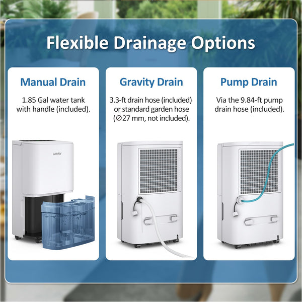 Energy Star Dehumidifiers with Drain Hose and Self Drying: 80, 120, and 150 pints