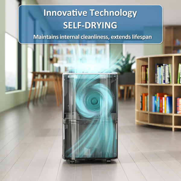 Energy Star Dehumidifiers with Drain Hose and Self Drying: 80, 120, and 150 pints