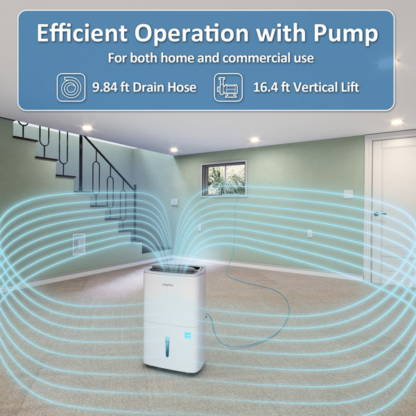 Energy Star Dehumidifiers with Drain Hose and Self Drying: 80, 120, and 150 pints