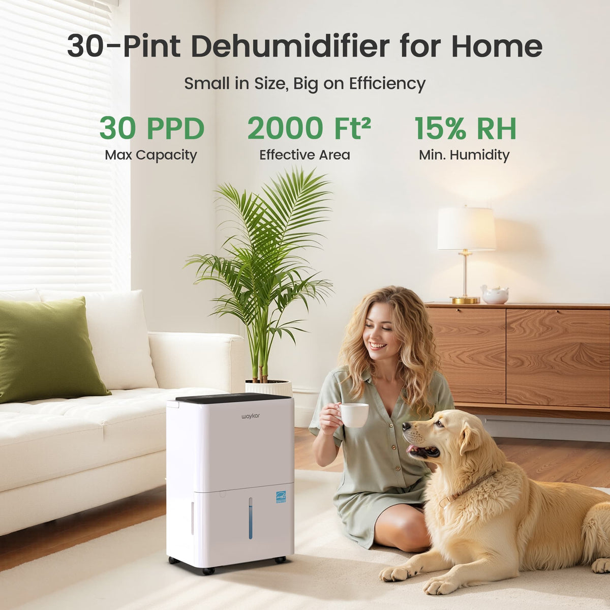 Waykar C30CTH Energy Star 2025 dehumidifier in living room environment, 35dB ultra-quiet performance designed for comfortable home use.
