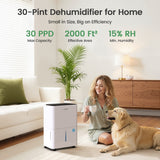 Waykar C30CTH Energy Star 2025 dehumidifier in living room environment, 35dB ultra-quiet performance designed for comfortable home use.