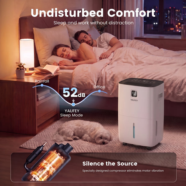 Pre-Sale: 80/150 Pints Whole-Home Dehumidifier with Smart Controls.