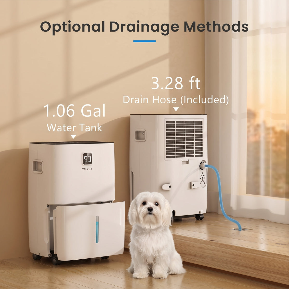 Pre-Sale: 80/150 Pints Whole-Home Dehumidifier with Smart Controls.