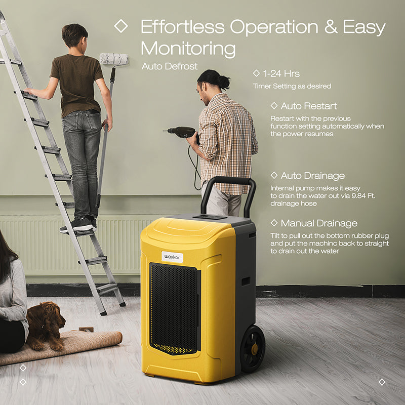 Commercial Dehumidifier for Basement with Drain Hose and Pump